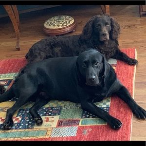 Meet your Posher, Edward